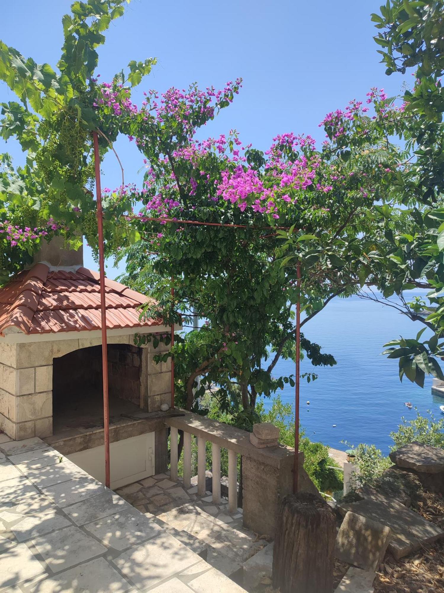 Apartments Laus زافالاتيكا المظهر الخارجي الصورة